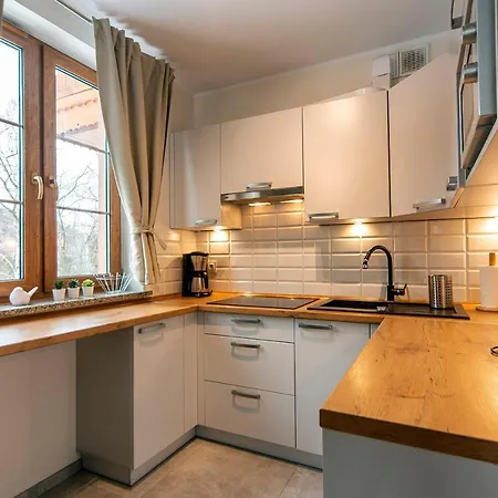 Apartamenty Sun & Ski Willa Nad Strumieniem Nadrzeczna 3D I 3E - Centrum 300M Karpacz Exterior foto